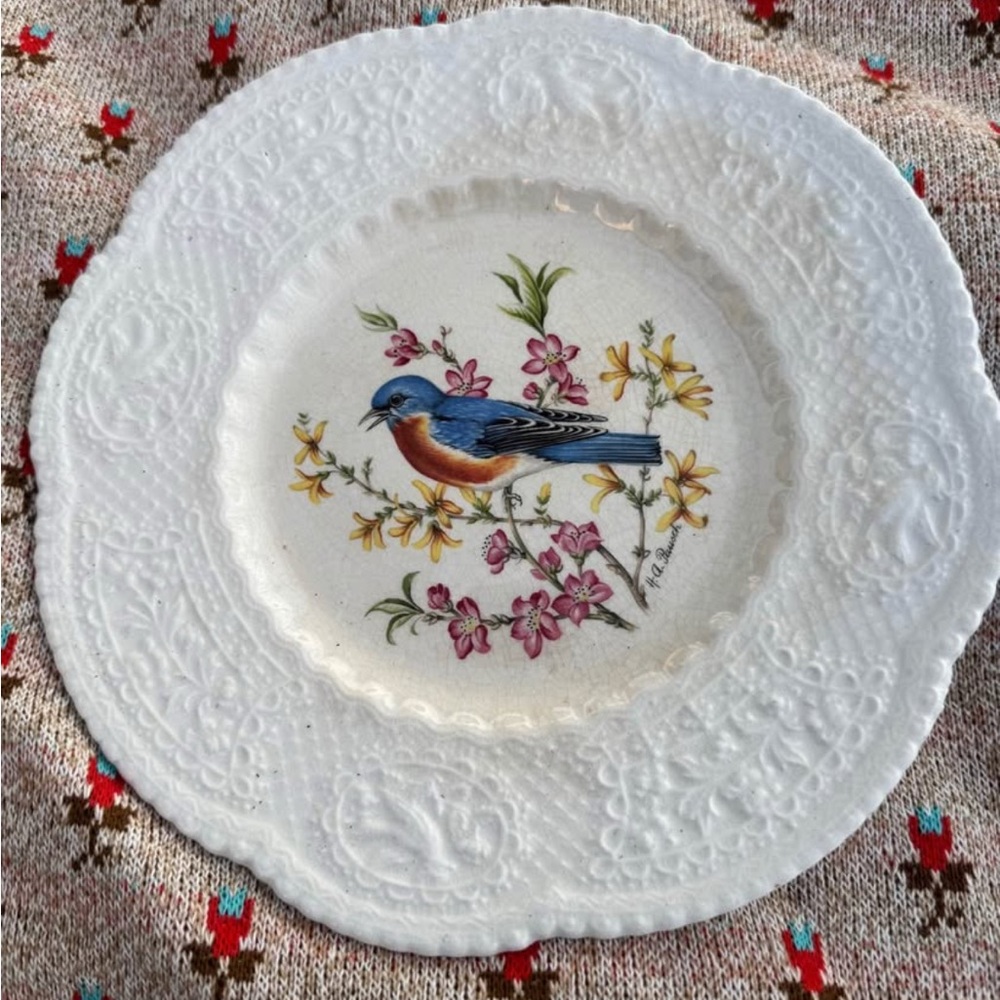 Set of 7 Royal Cauldon Vintage Assorted Bird Plates